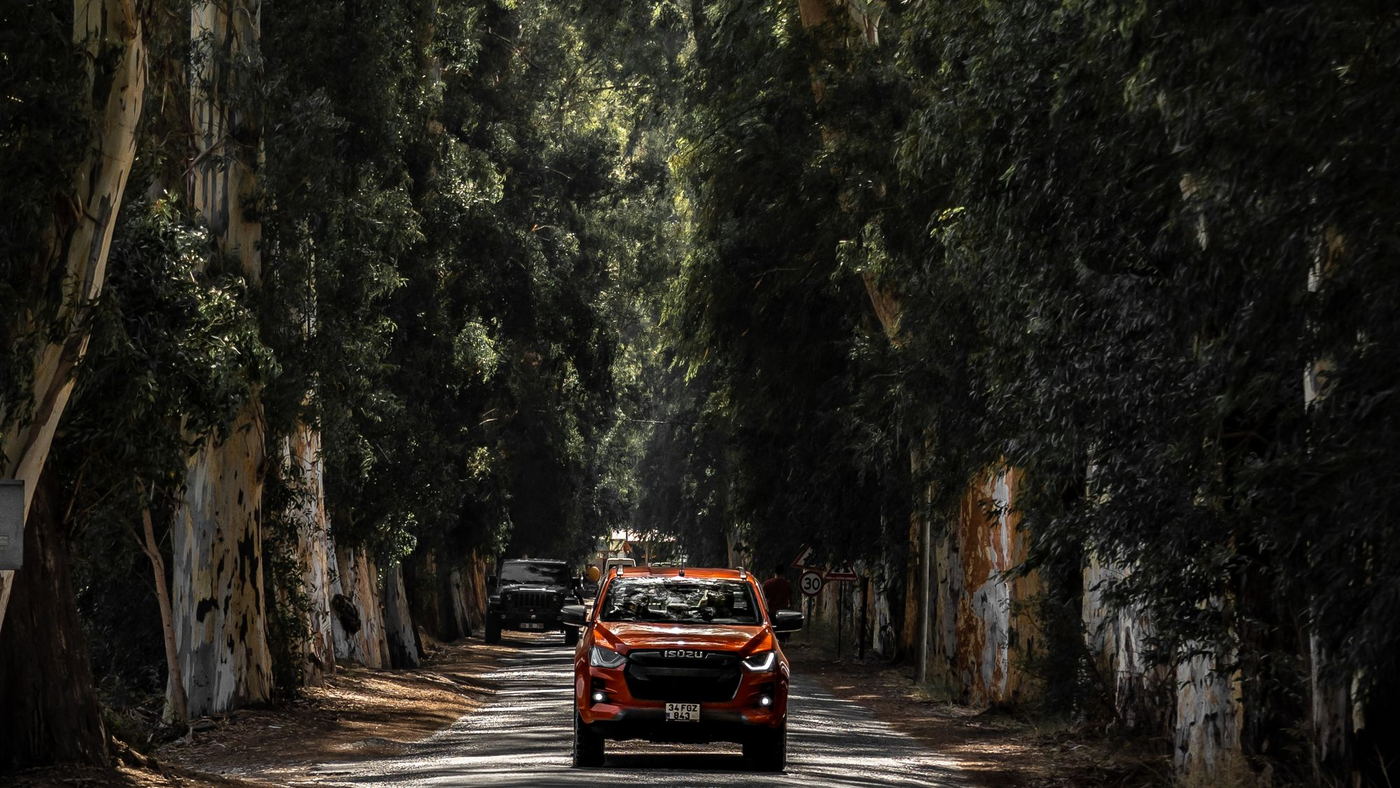 A ute on a tree lined road on the way to a job.